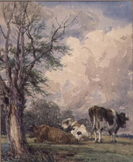 A Study of Cattle von Thomas Baker
