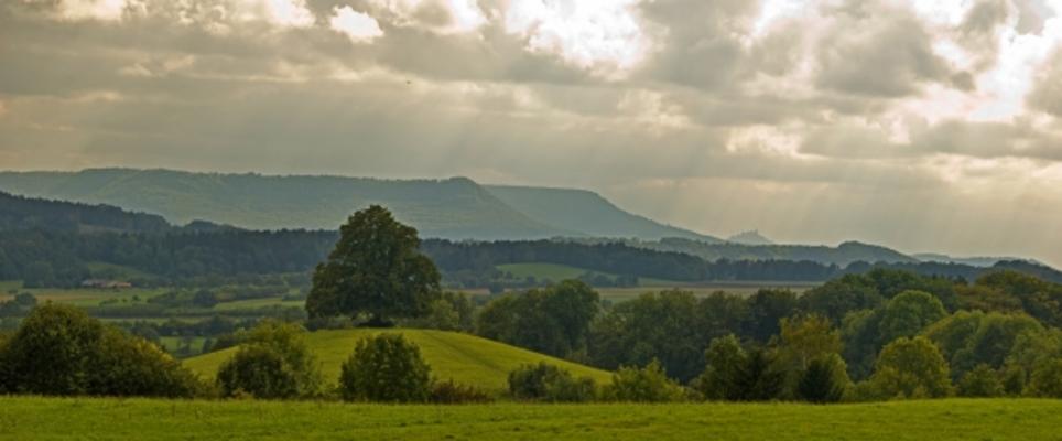 die Kuppe von Thomas Brenner