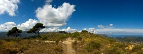 Spekrum einer Landschaft