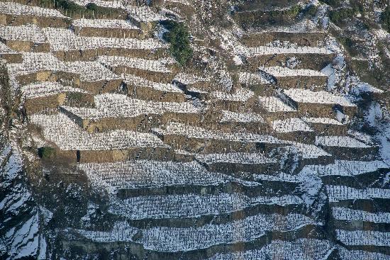 Verschneite Weinberge an der Mosel von Thomas Frey