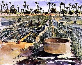 The Women''s Garden, Senegal, West Africa, 1997 (w/c on paper) 