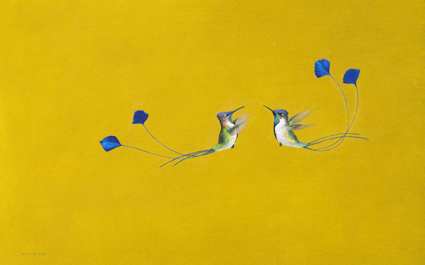 Hummingbirds von Tim Hayward