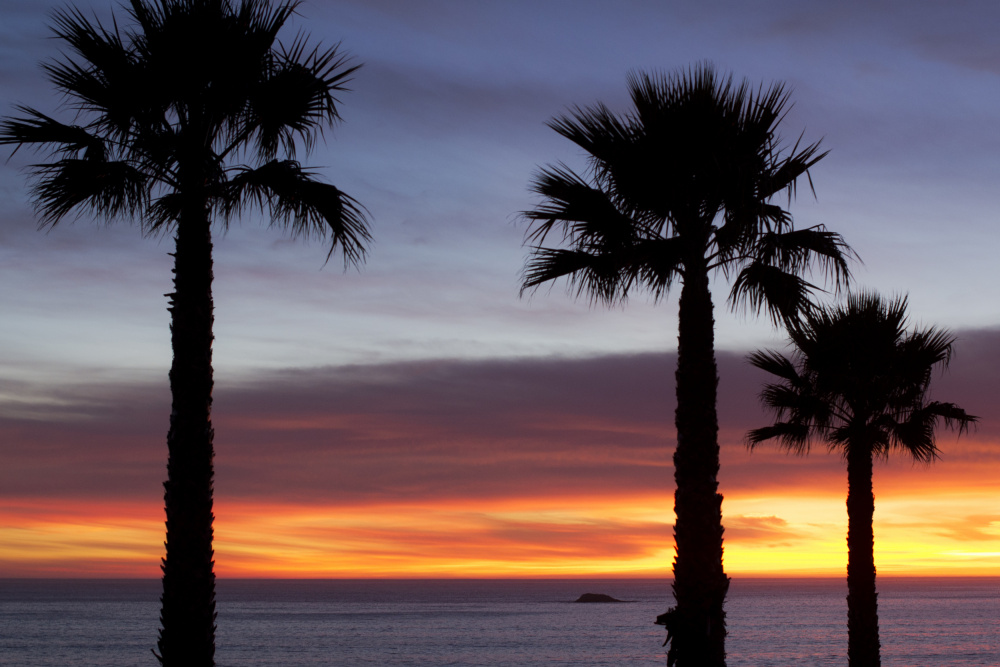 Palmen bei Sonnenuntergang von Tim Mossholder