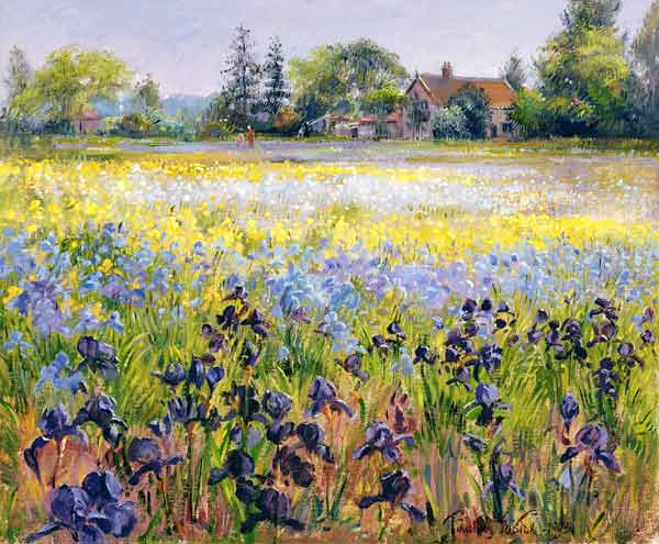 Irises and Two Fir Trees von Timothy  Easton