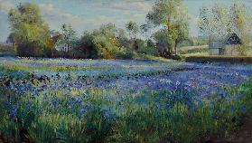 Dappled Light on the Iris Field 1991