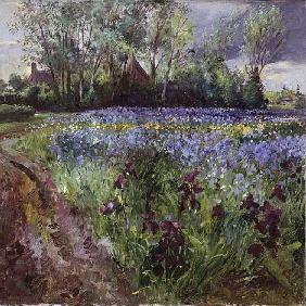 Iris Field, Storm Gathering, 1991 