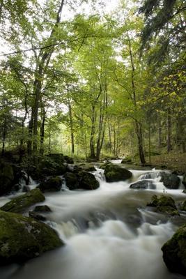 Wilder Fluss in einem Tal