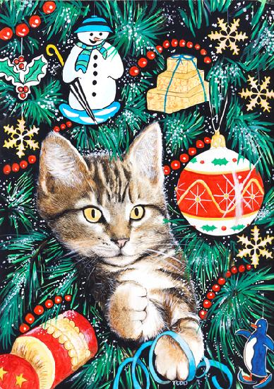 Tabby Christmas Kitten 2020