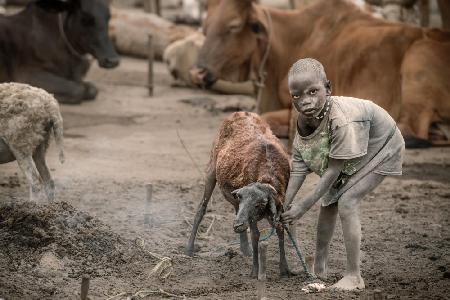 Mundari-Kinderhirte