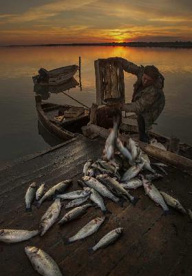 Fisherman