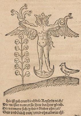 Illustration für Rosarium philosophorum sive pretiosissimum donum Dei 1550