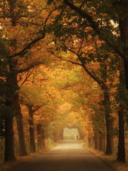 Pendeln im Herbst