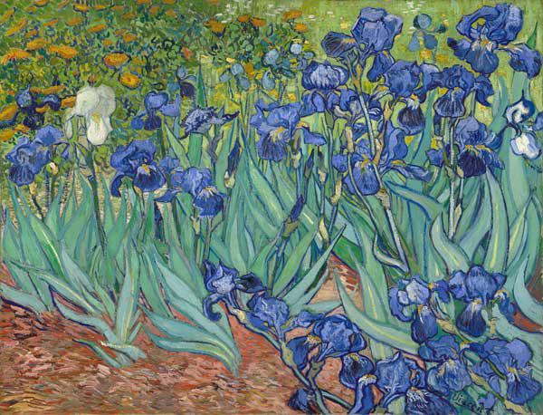 Iris (Schwertlilien) - Vincent van Gogh