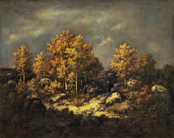 The Jean de Paris Heights in the Forest of Fontainebleau von Virgilio N. Diaz de la Pena
