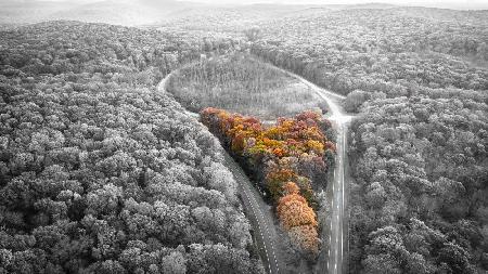 Erinnerung an den Herbst