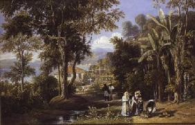 Garden Scene on the Broganza Shore, Rio de Janeiro