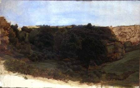 Landscape of a Woodland Gorge von William Linnell