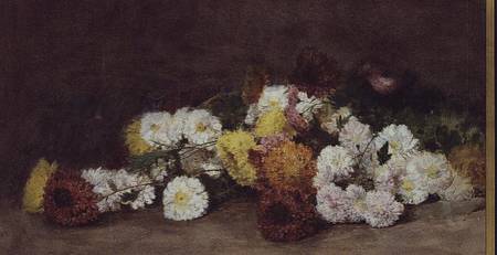 Chrysanthemums von William Rathjens