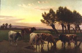 Evening near Amberley 1923