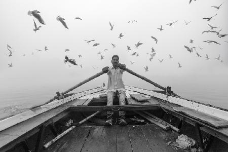 Vögel des Heiligen Ganges